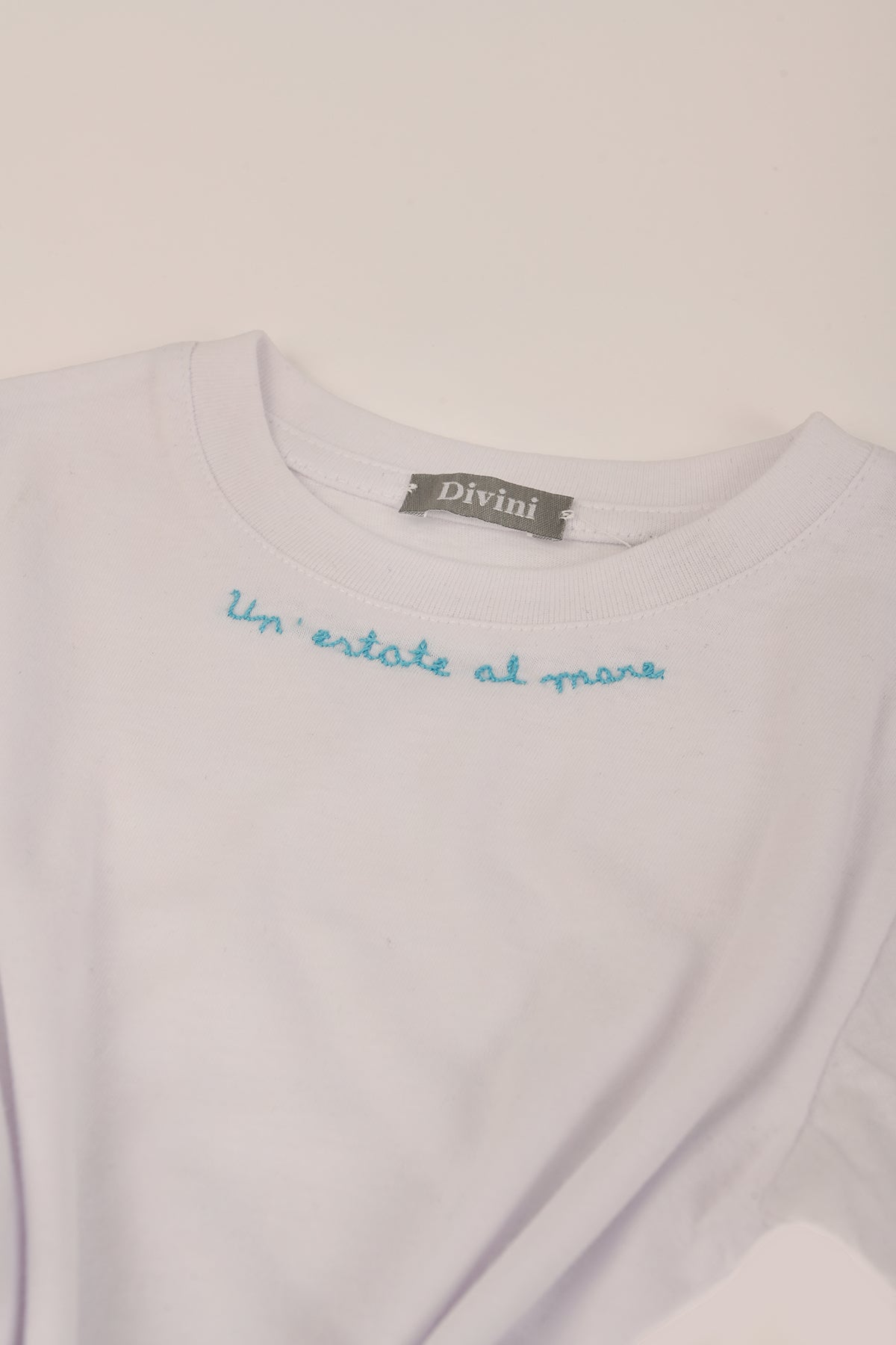 Embroidered T-shirt
