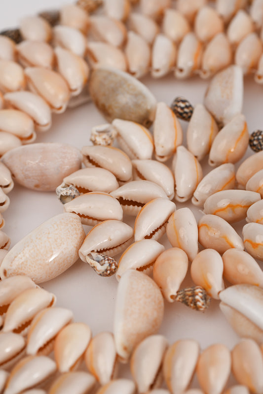 Centrotavola conchiglie grande Teresa Carcava