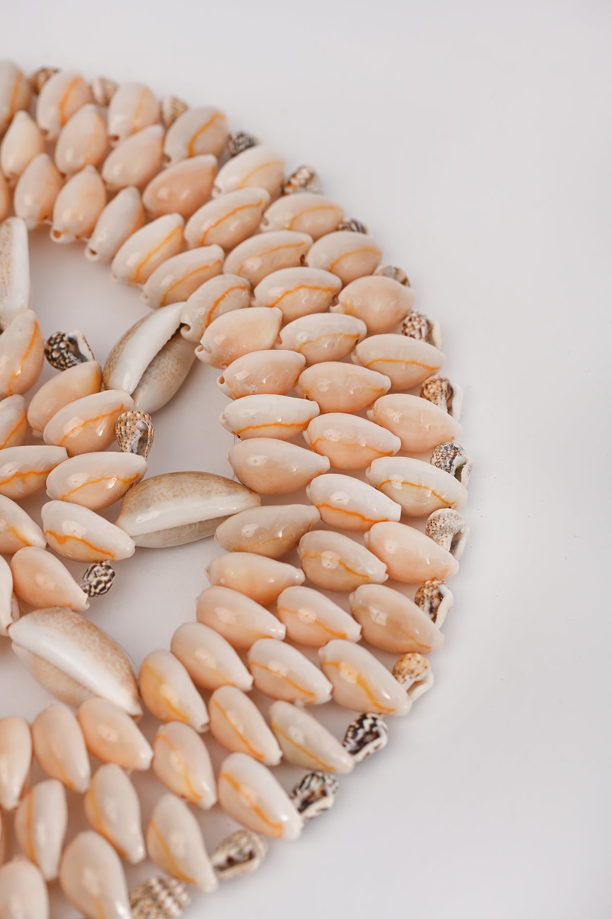 Centrotavola conchiglie grande Teresa Carcava