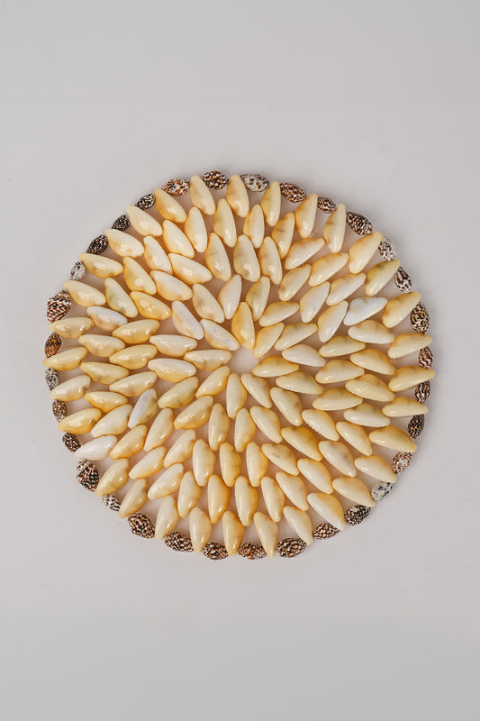 Sottopentola conchiglie piccolo