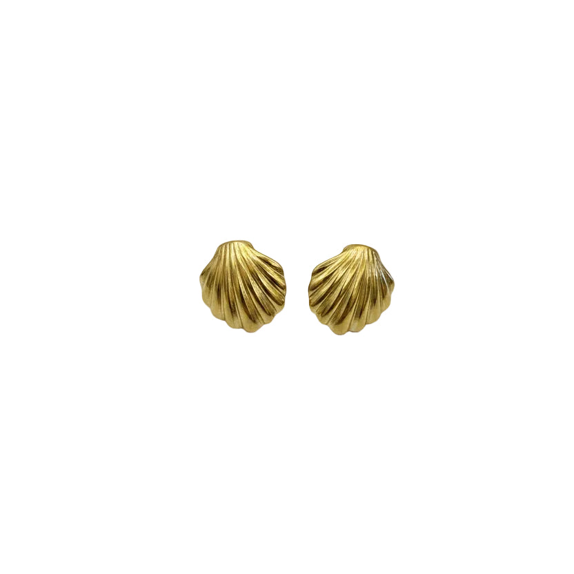 Orecchini Conchiglia
