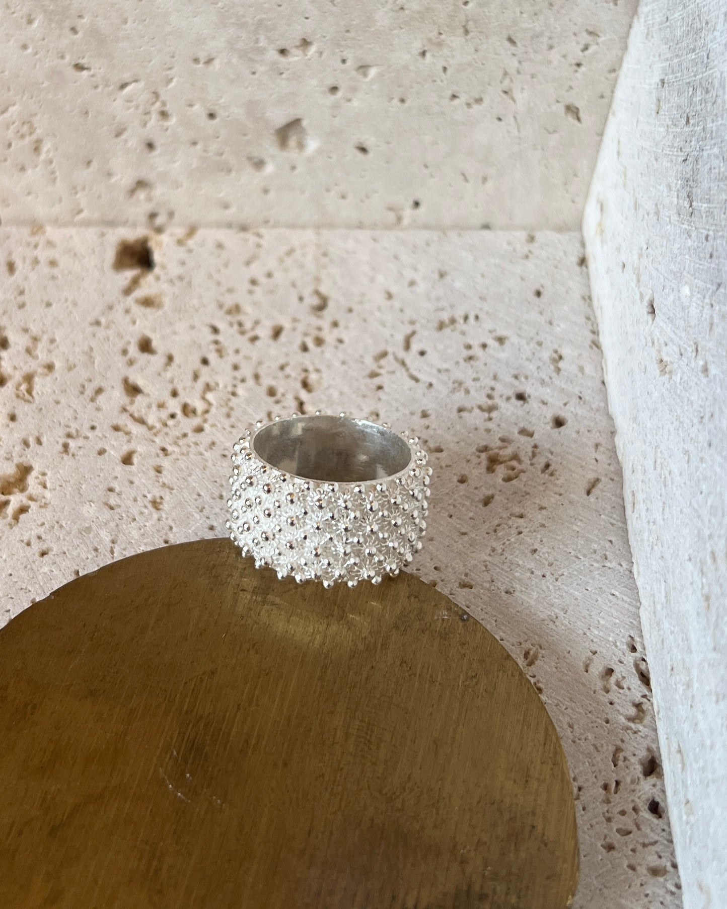 Fede Sarda a 4 file HOROS