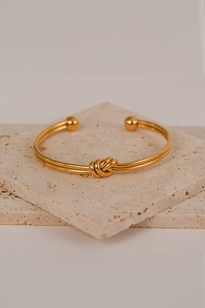 Bracciale Rigido Senza Fine Oro Acheta