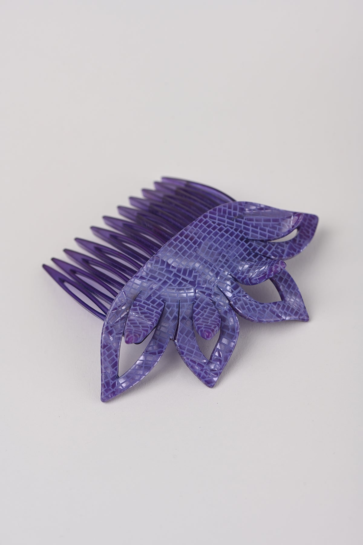 Pettinini fiore Teresa Cercava