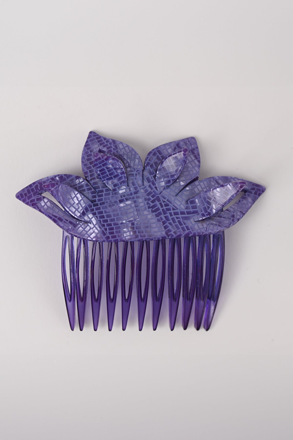 Pettinini fiore Teresa Cercava