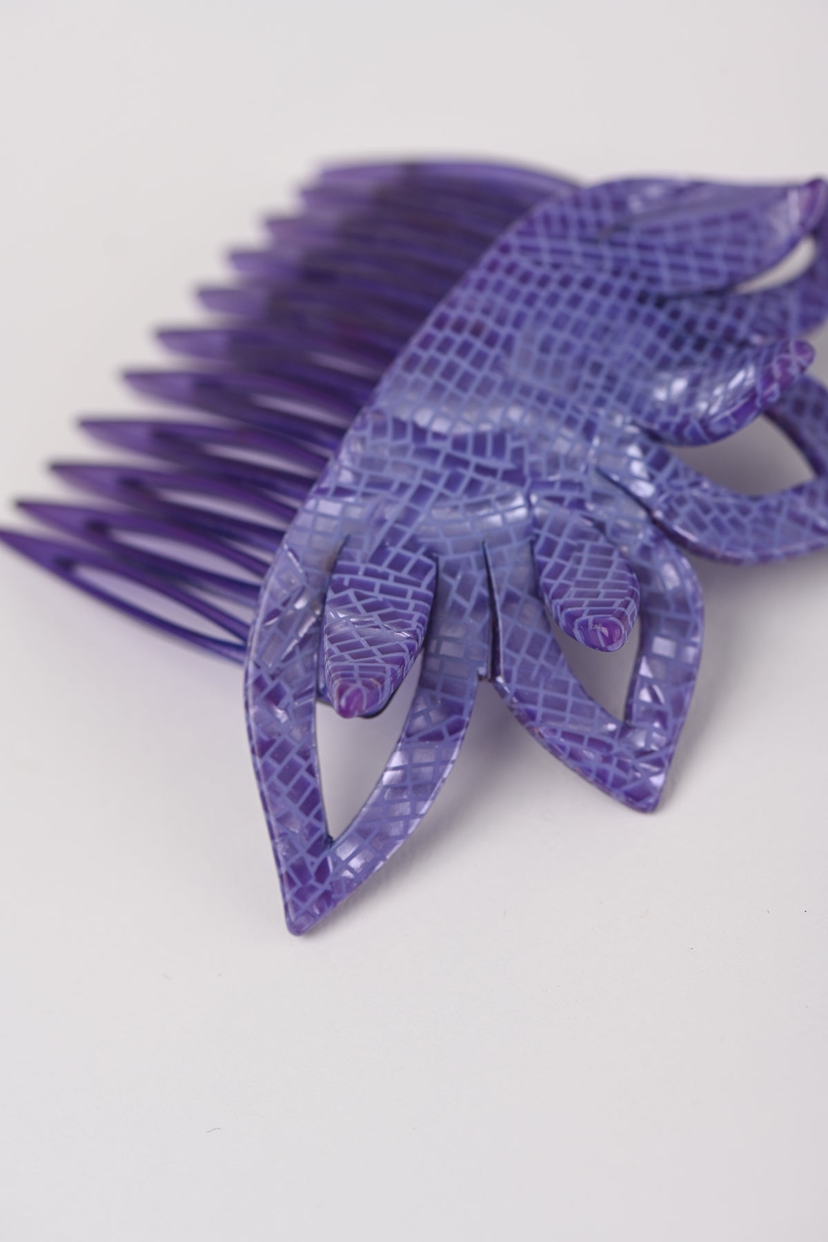 Pettinini fiore Teresa Cercava