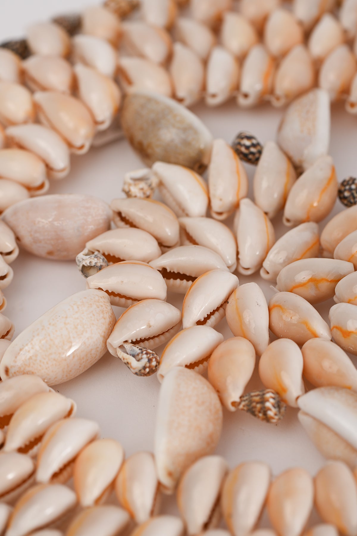 Centrotavola conchiglie grande Teresa Carcava