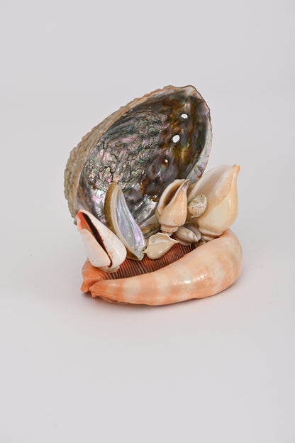 Soprammobile conchiglie Teresa Cercava