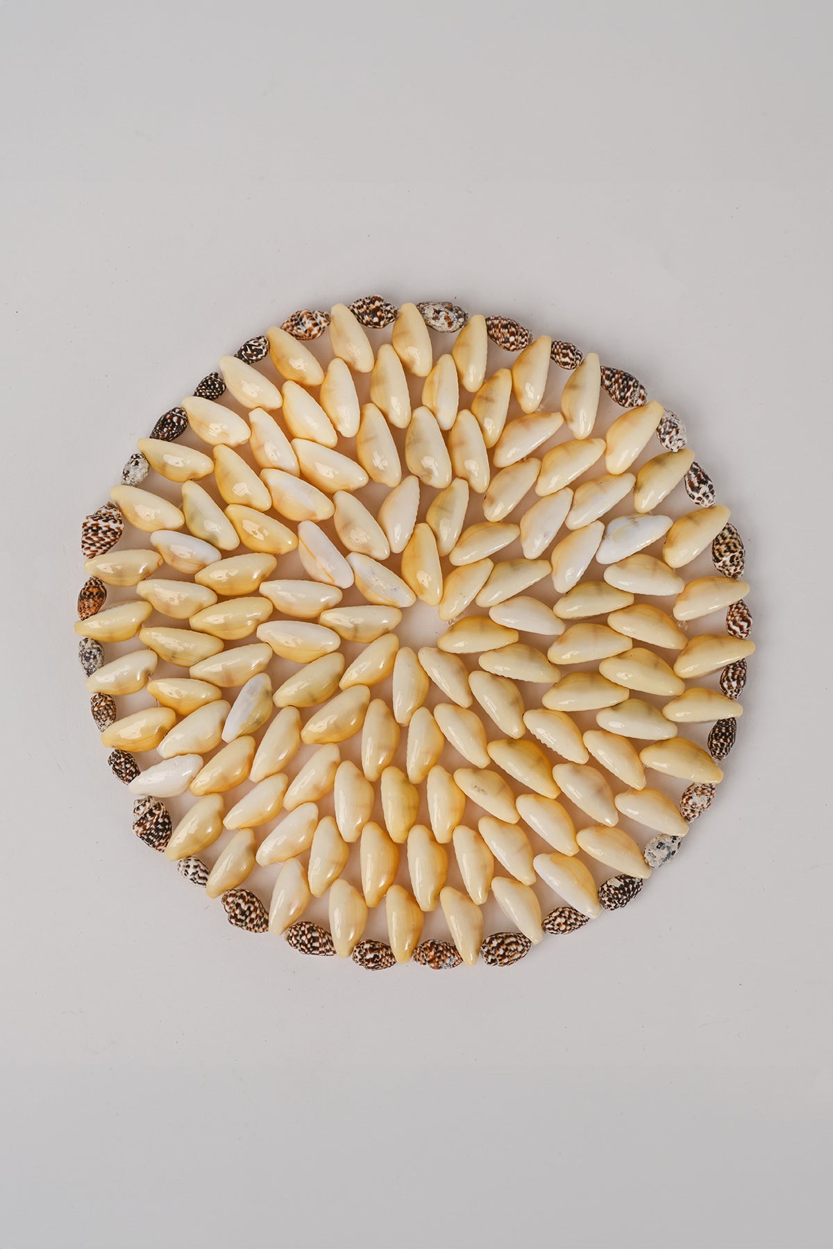 Sottopentola conchiglie piccolo