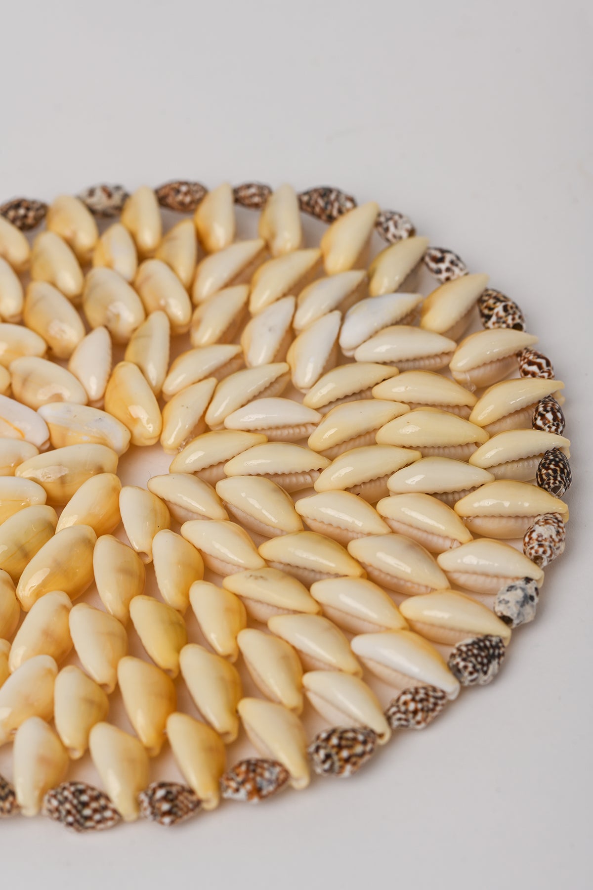 Sottopentola conchiglie piccolo