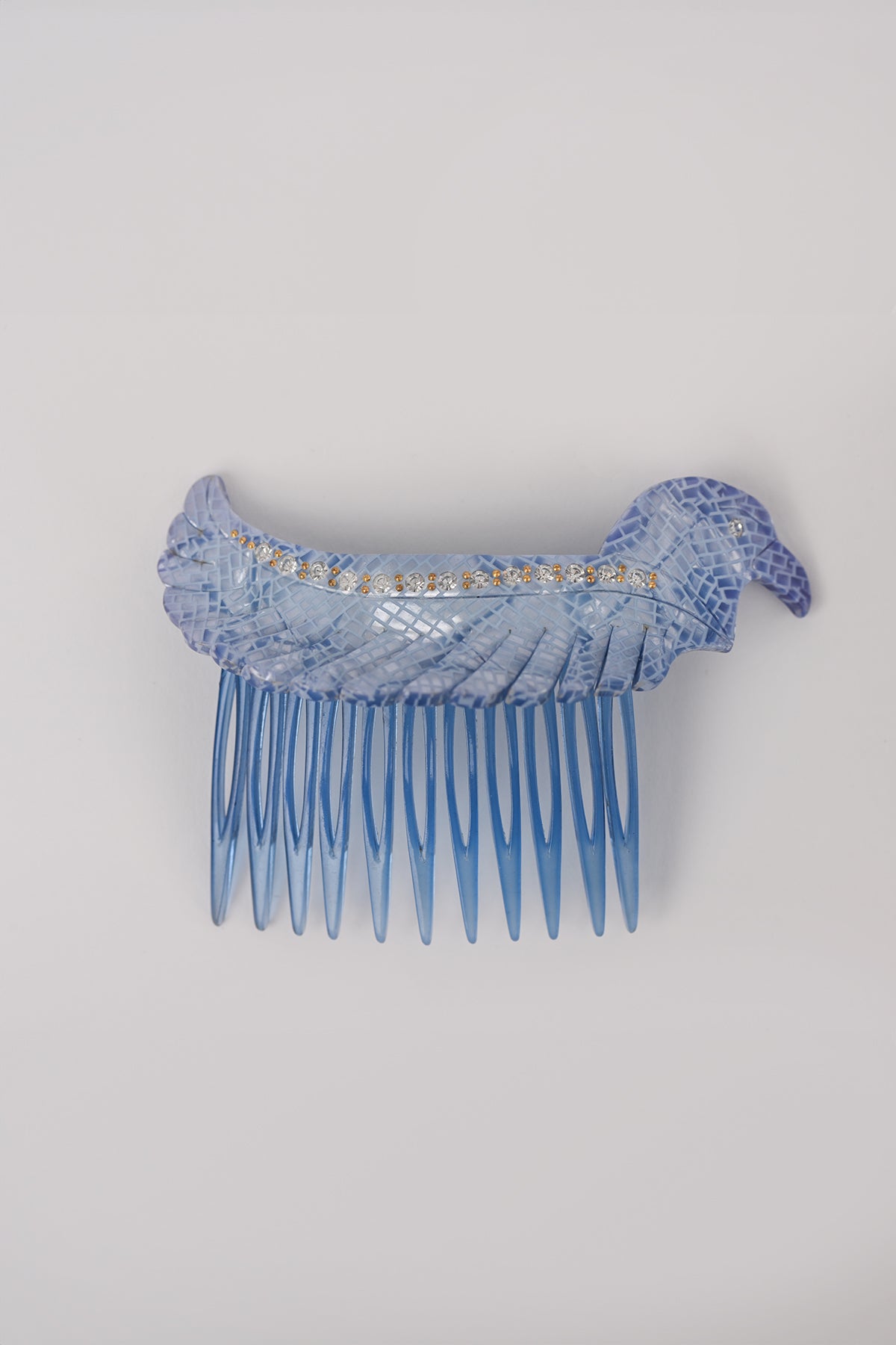 Pettinini uccello Teresa Cercava