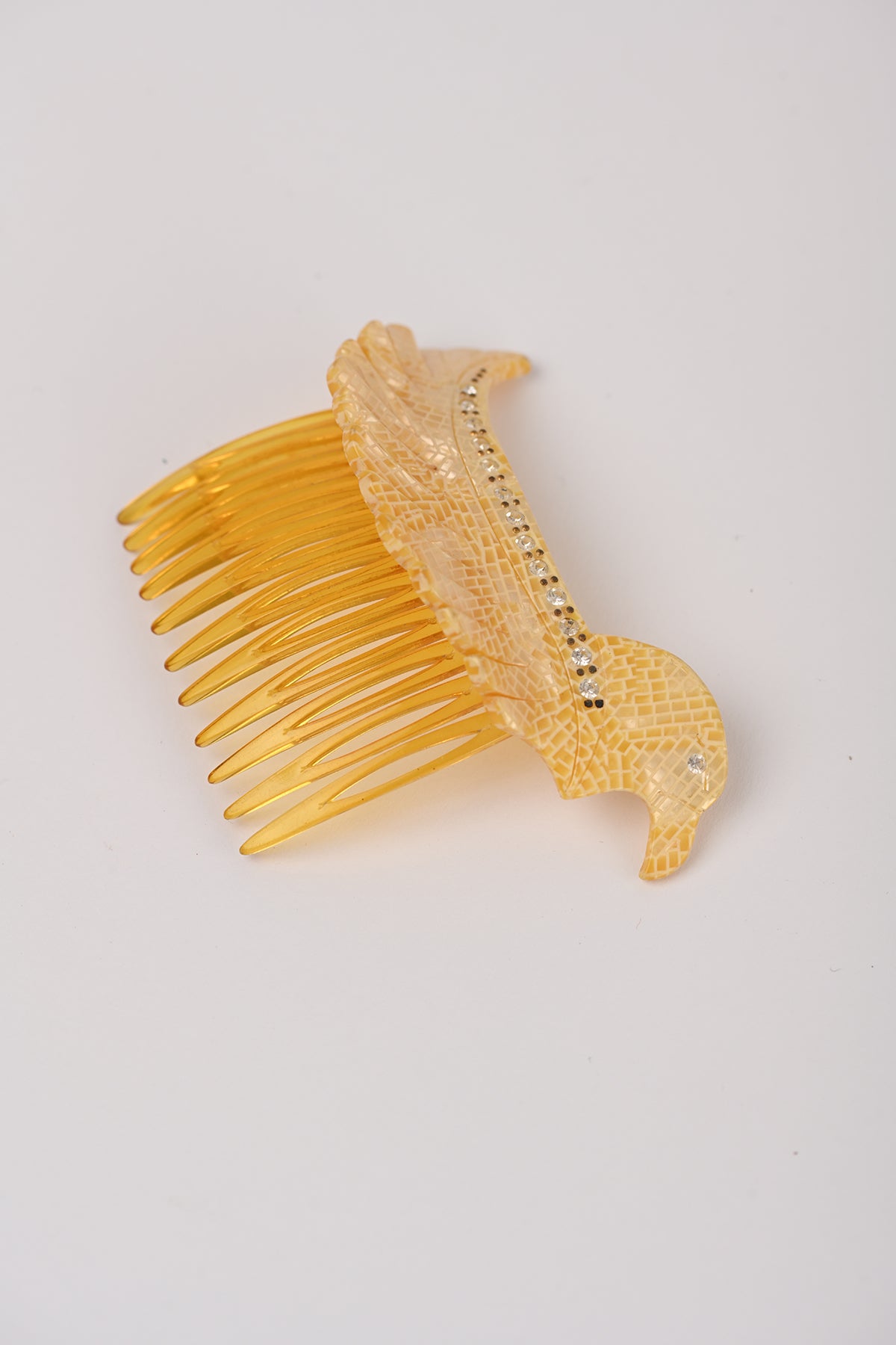 Pettinini uccello Teresa Cercava