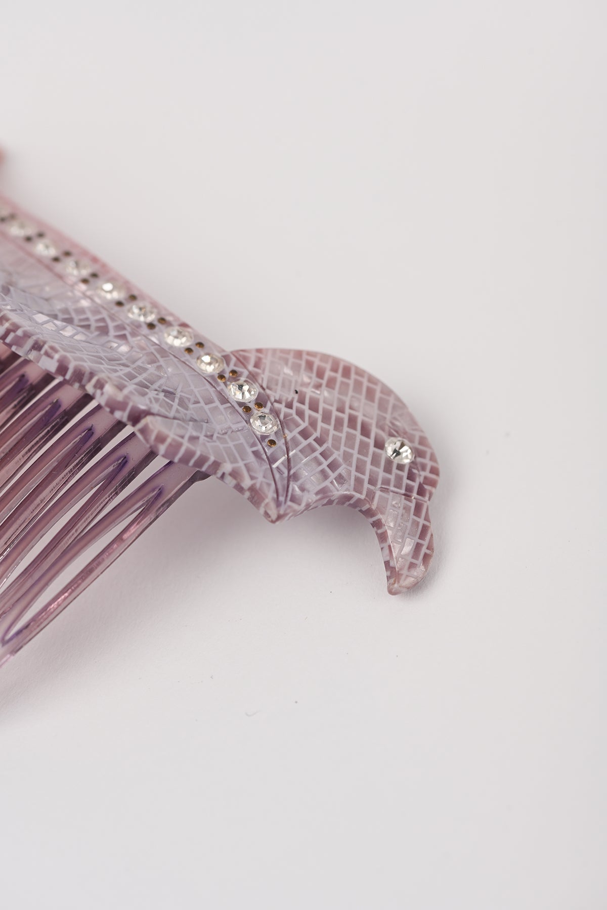 Pettinini uccello Teresa Cercava