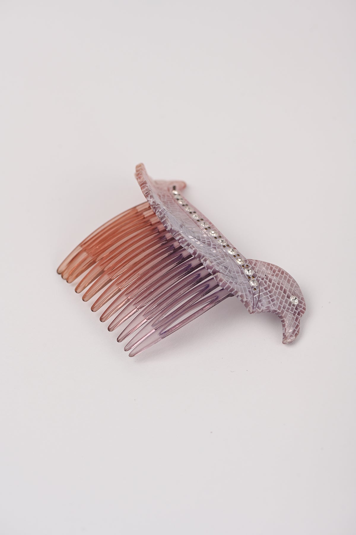 Pettinini uccello Teresa Cercava