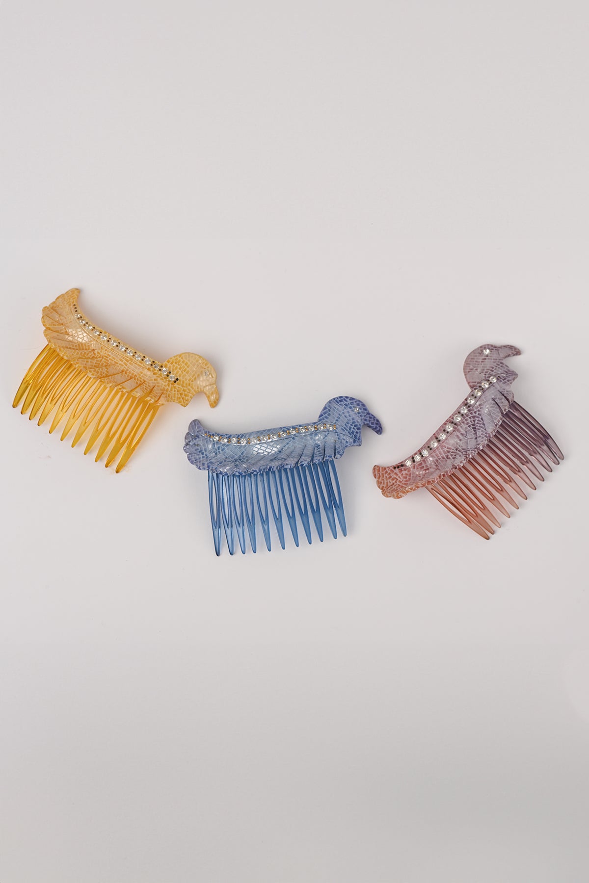 Pettinini uccello Teresa Cercava