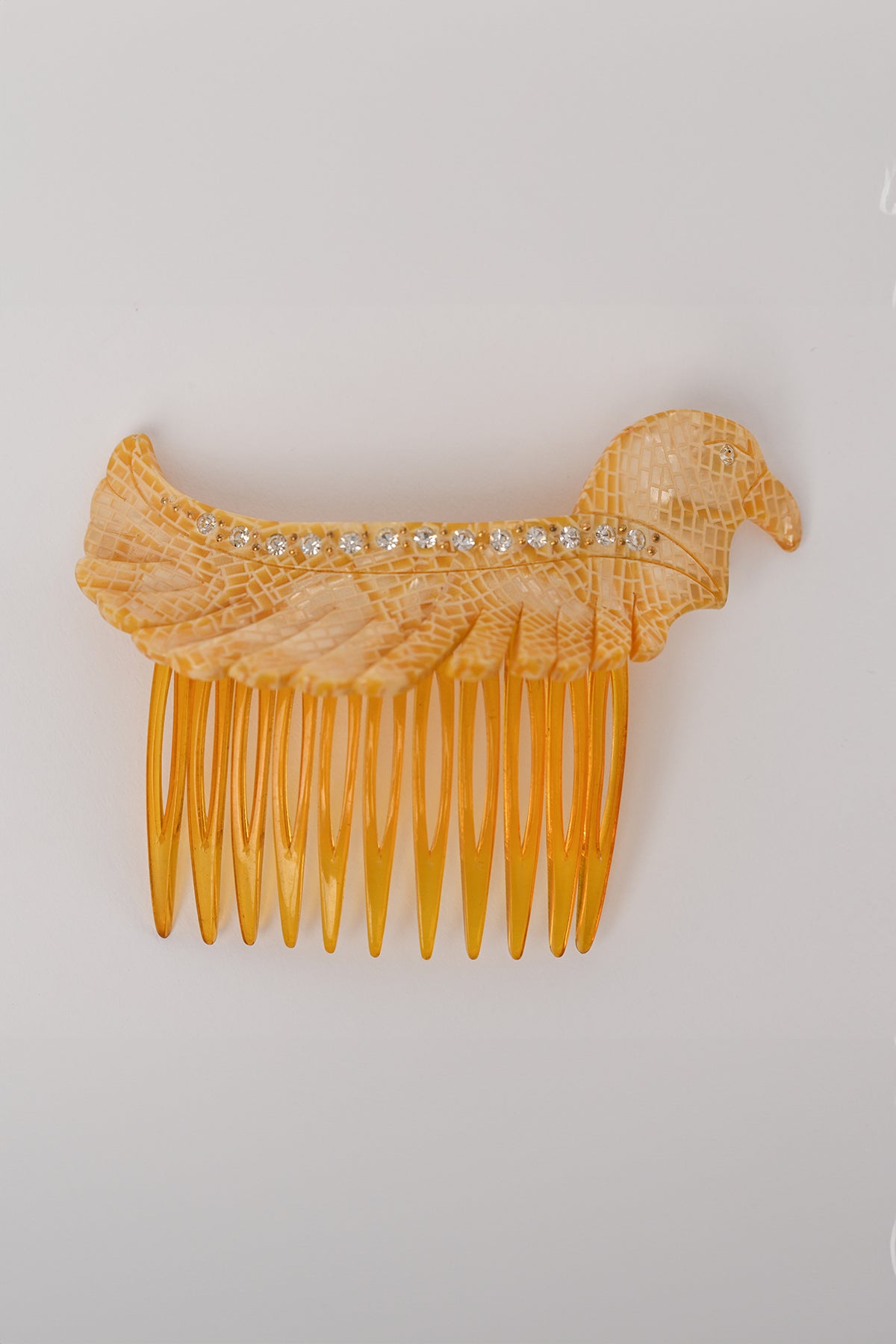 Pettinini uccello Teresa Cercava