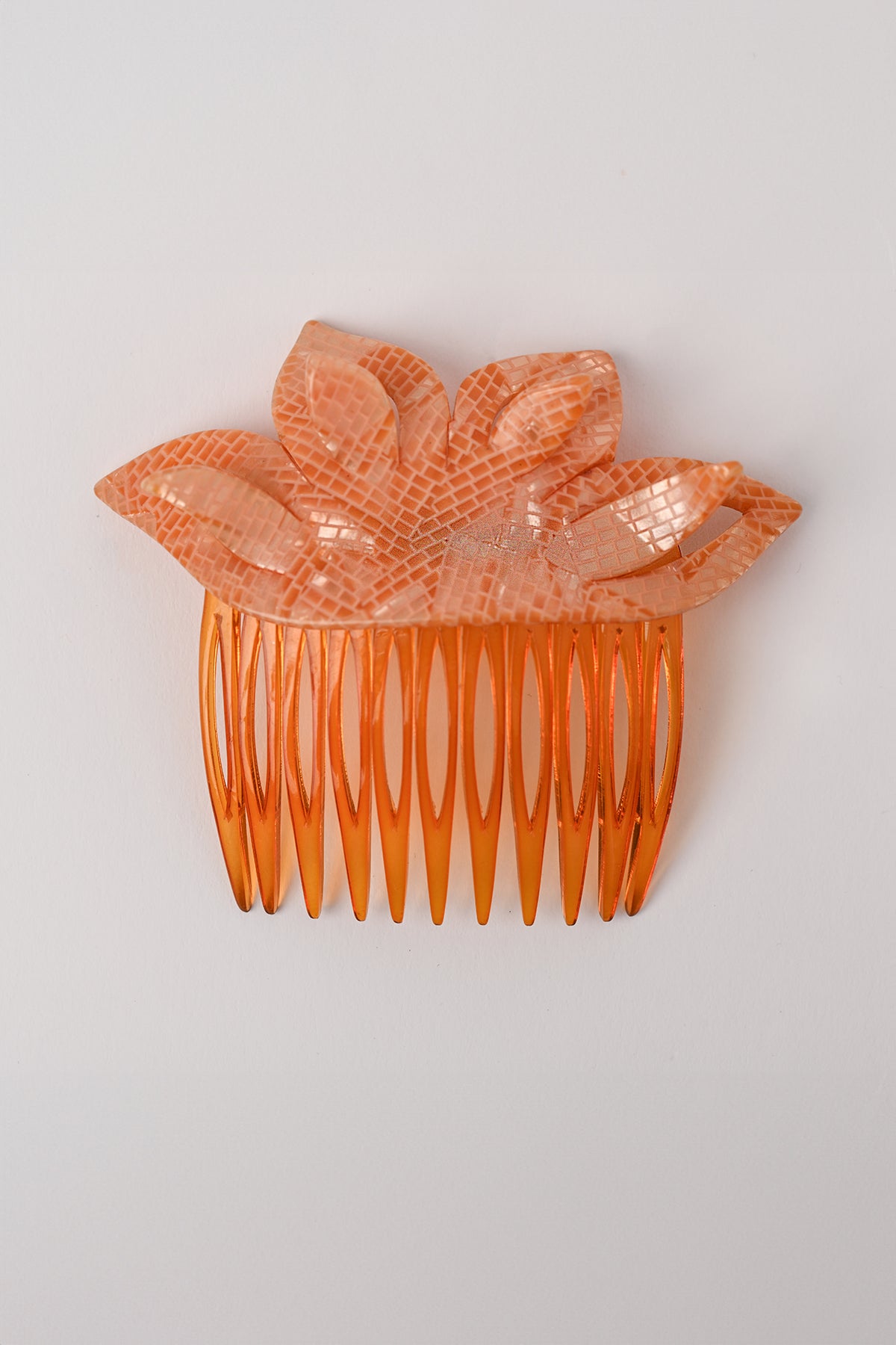 Pettinini fiore Teresa Cercava