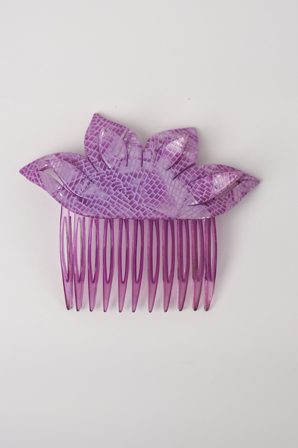 Pettinini fiore Teresa Cercava