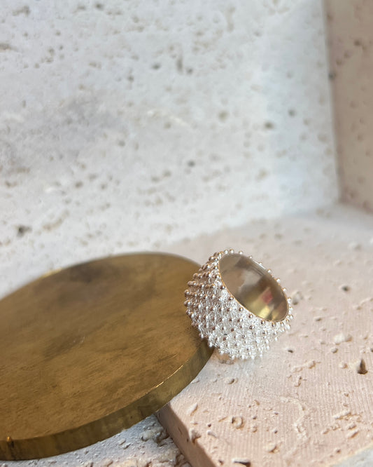 Fede Sarda a 4 file HOROS