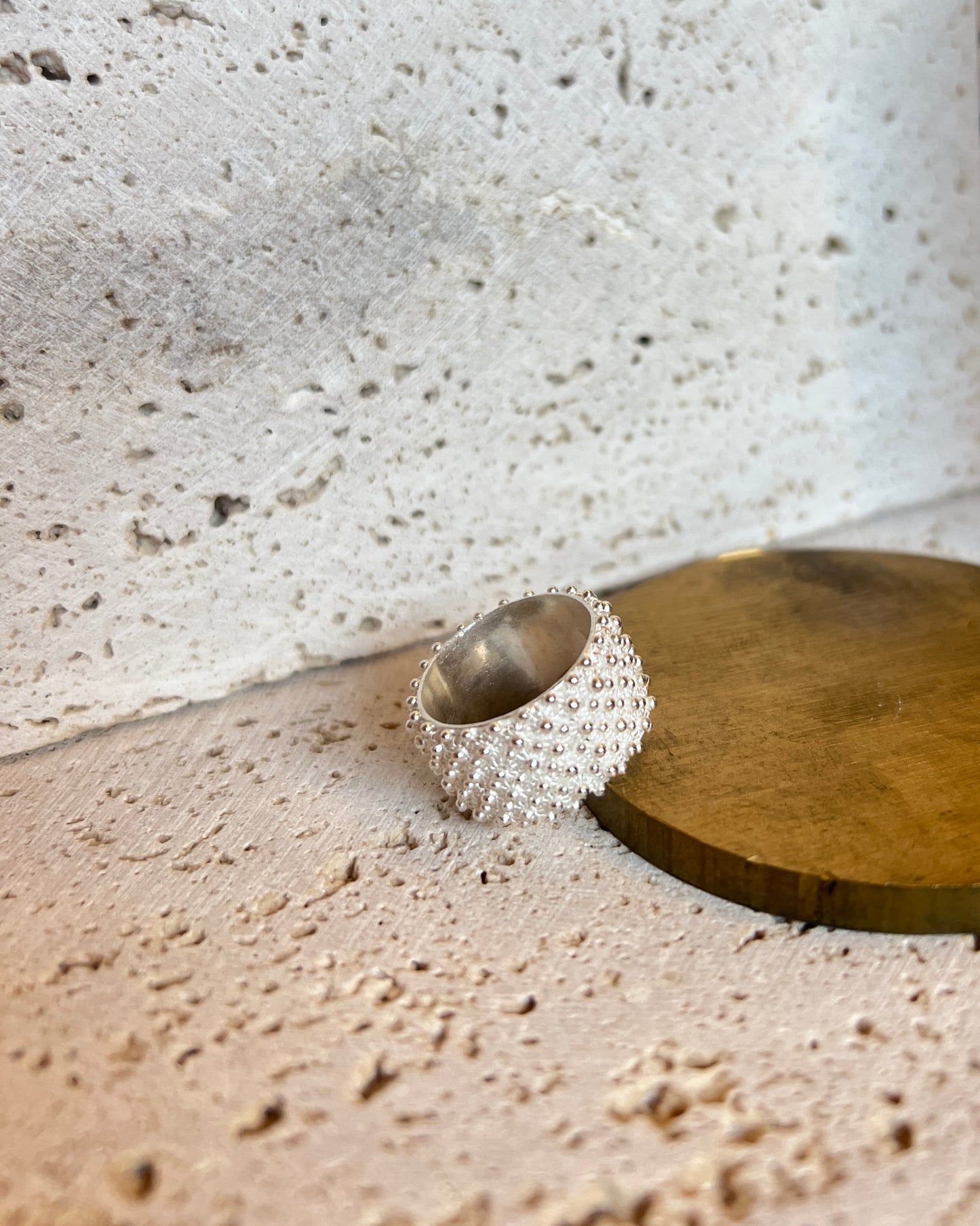 Fede Sarda a 4 file HOROS