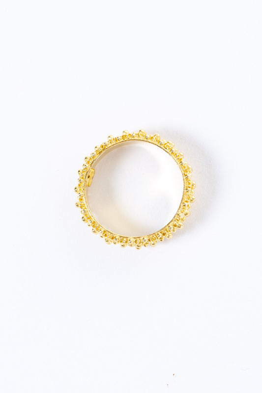 Fede Sarda a 2 file HOROS