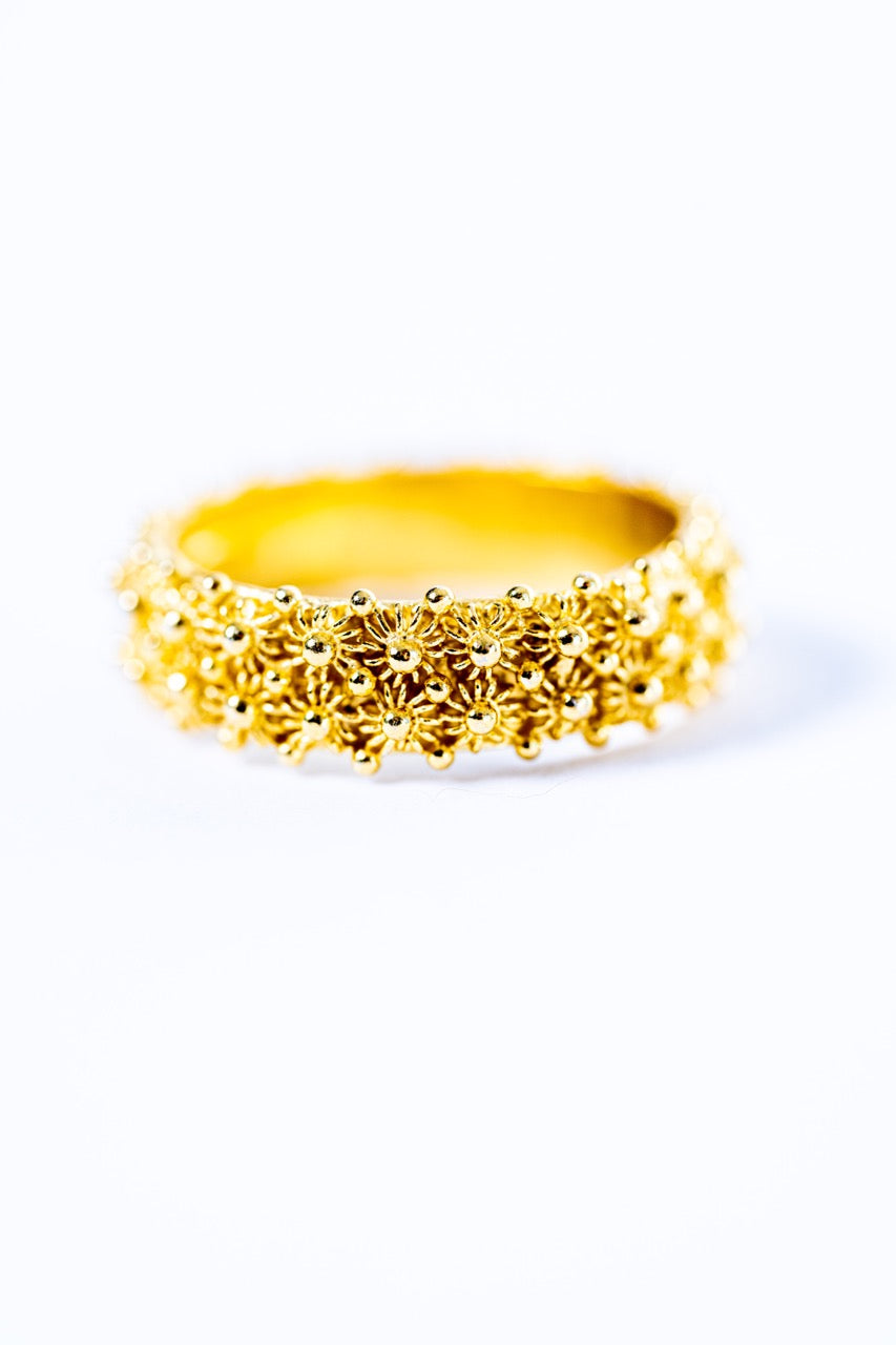 Fede Sarda a 2 file HOROS