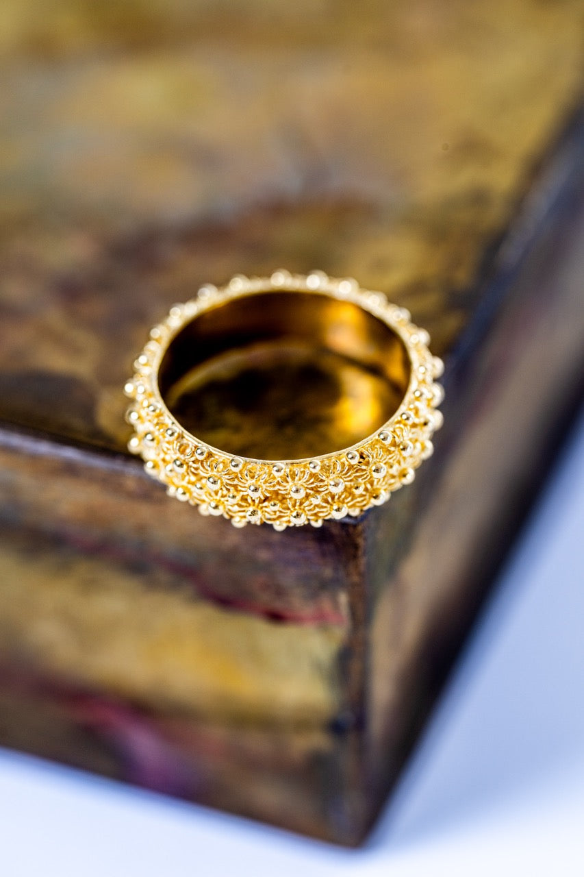 Fede Sarda a 2 file HOROS