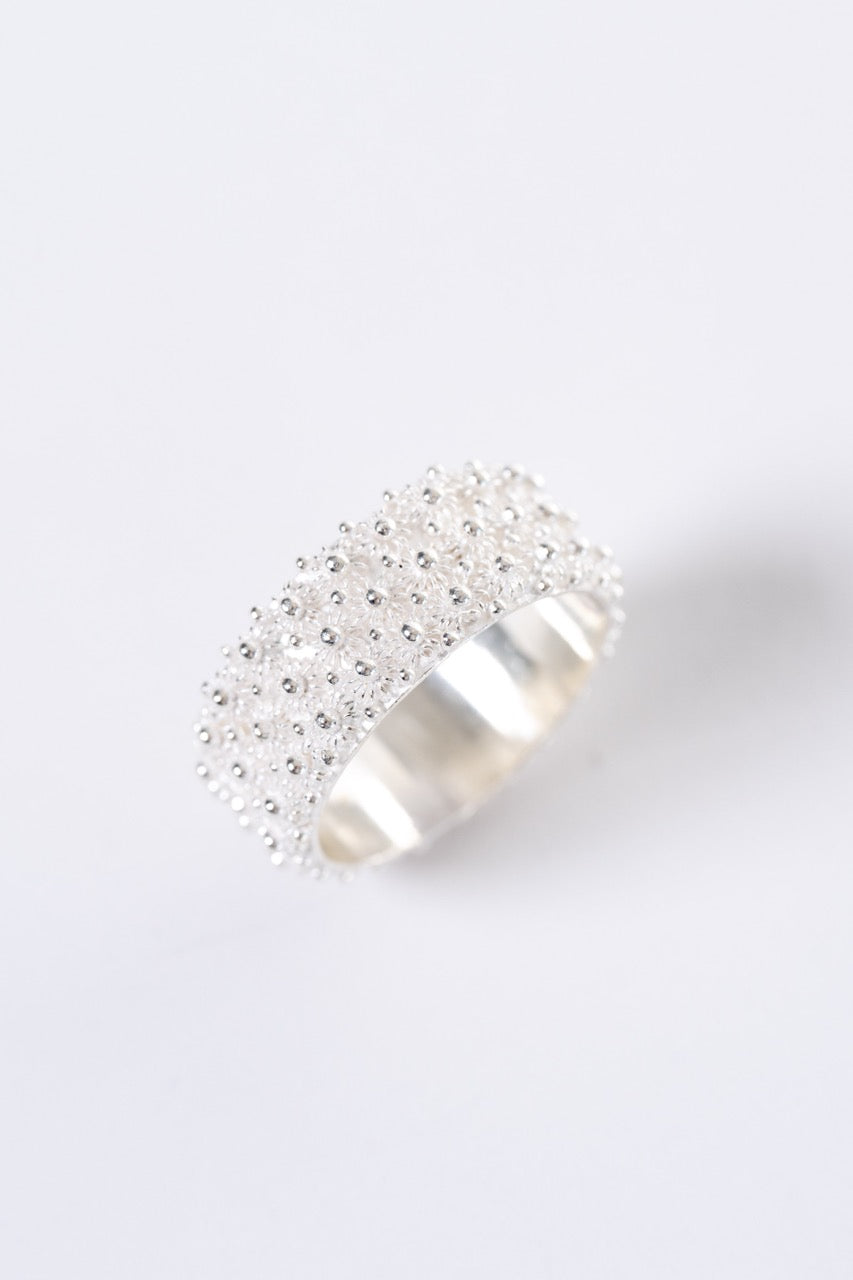 Fede Sarda a 3 file HOROS