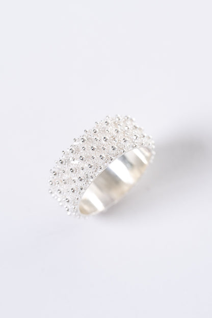 Fede Sarda a 3 file HOROS