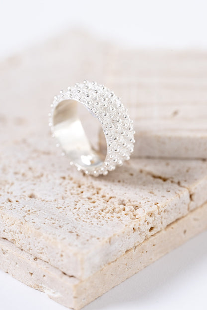 Fede Sarda a 3 file HOROS