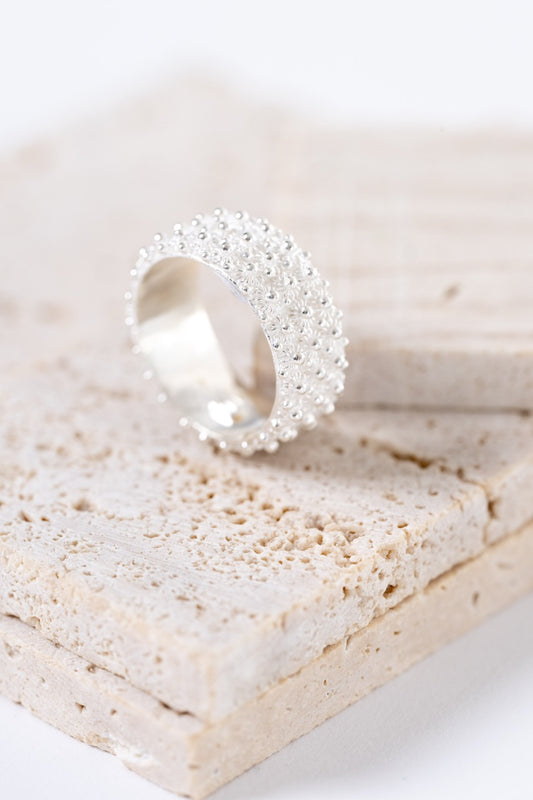 Fede Sarda a 3 file HOROS