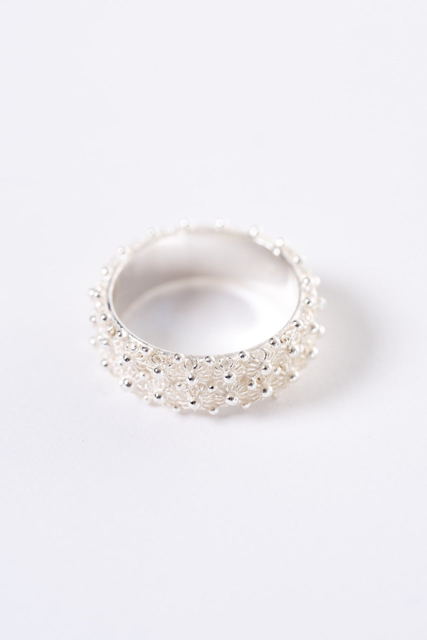 Fede Sarda a 2 file HOROS