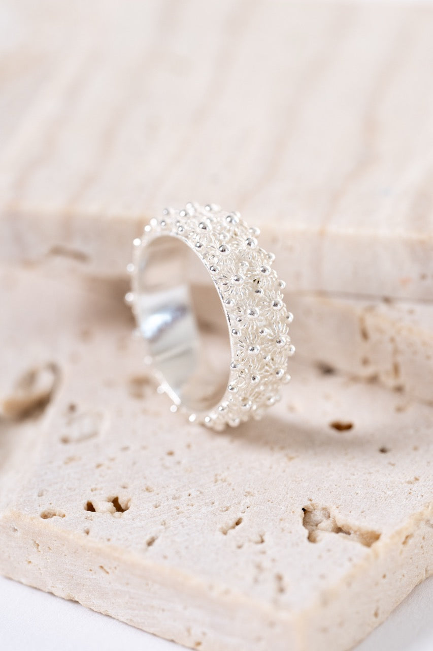 Fede Sarda a 2 file HOROS