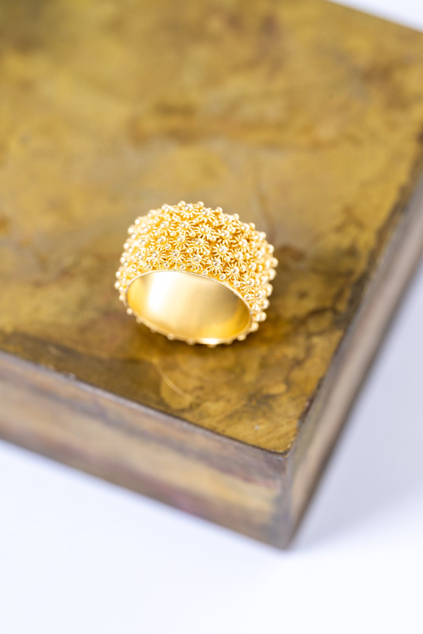 Fede Sarda a 4 file HOROS