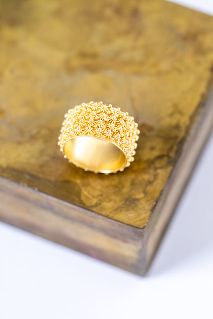 Fede Sarda a 4 file HOROS