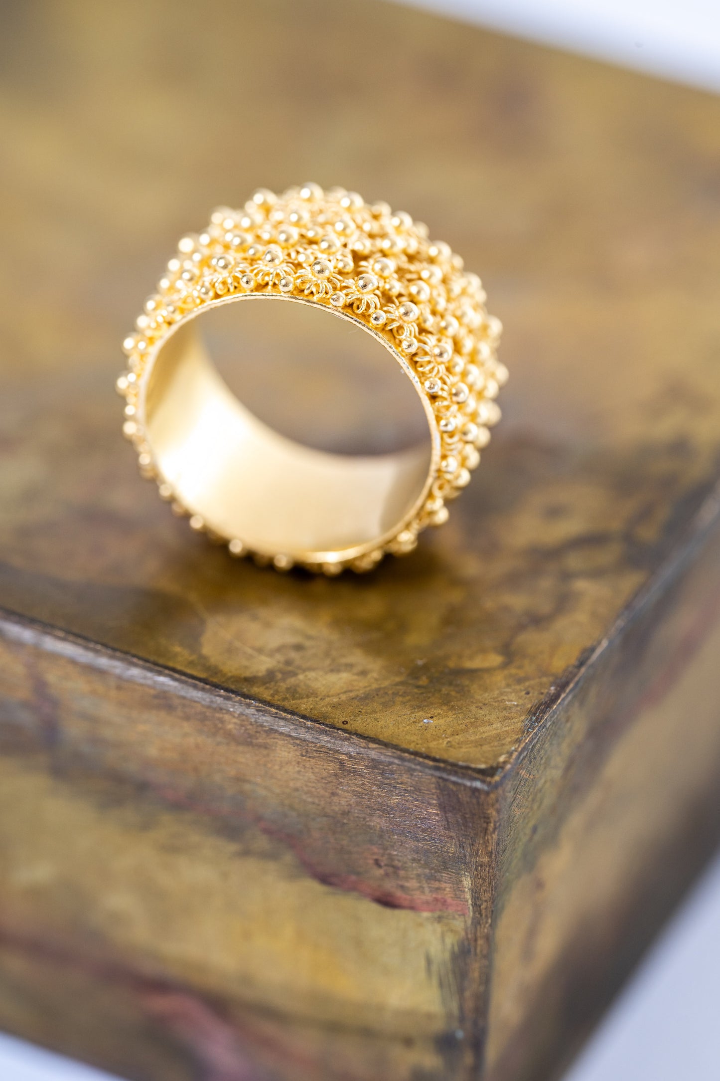 Fede Sarda a 4 file HOROS