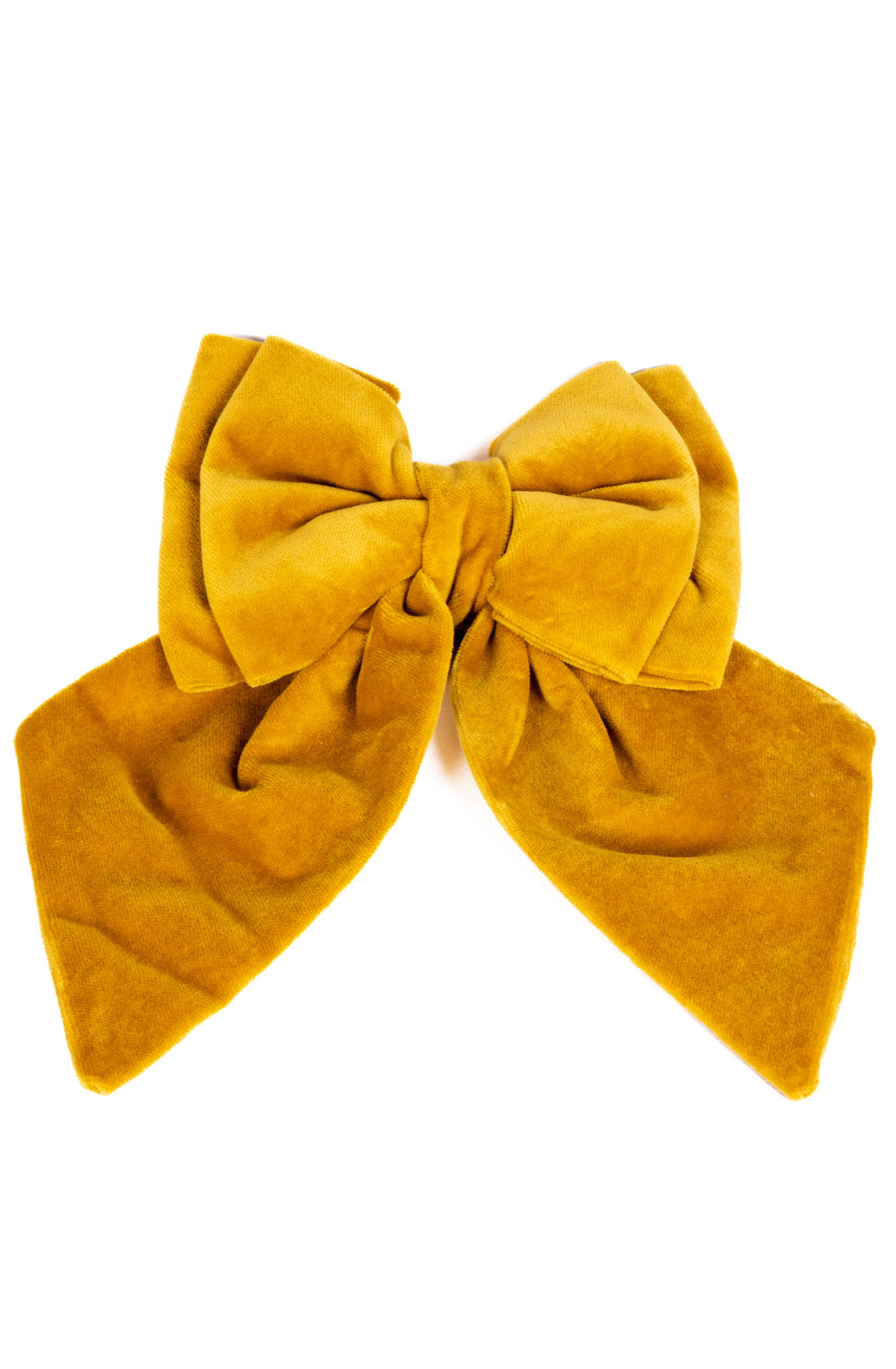 Livia Bow LE TRE SARTE