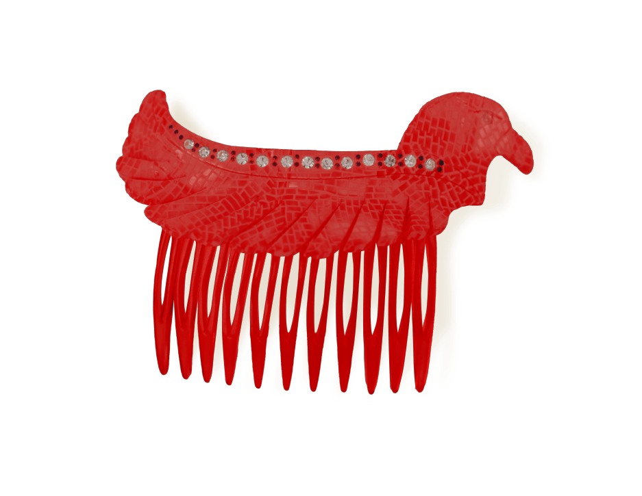 Pettinini uccello Teresa Cercava